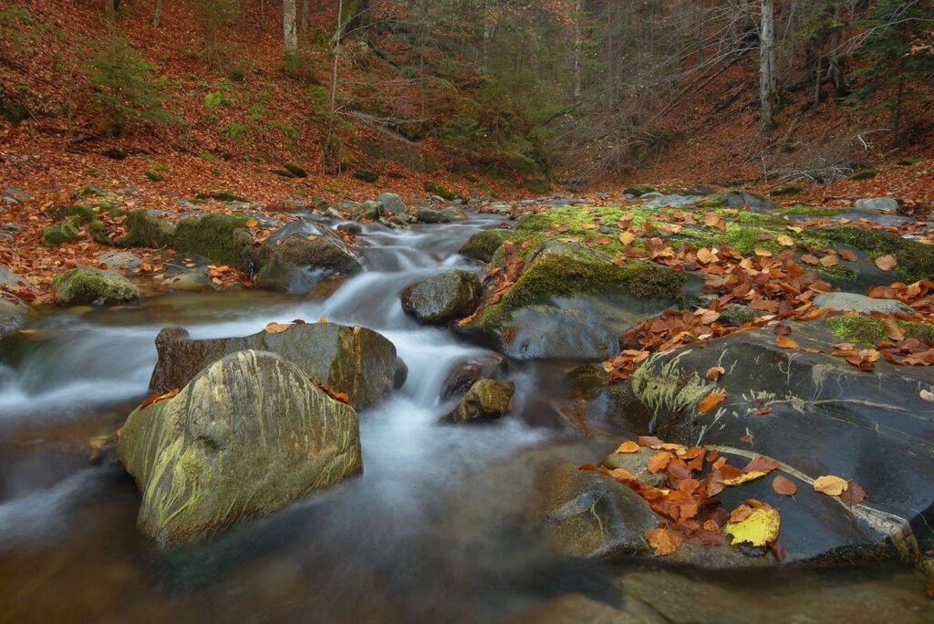 Obiective Turistice din Vrancea